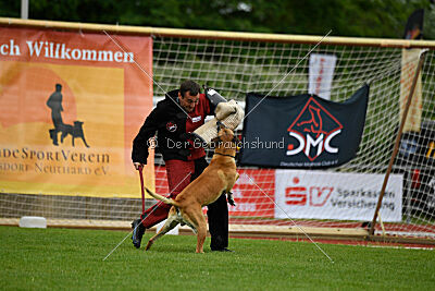 Clooney vom Clan der Wölfe