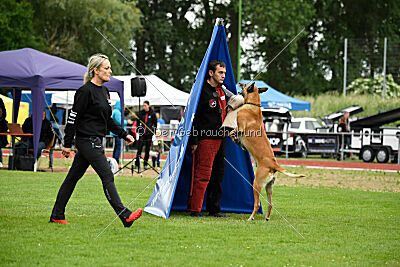 Clooney vom Clan der Wölfe
