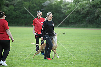 Clooney vom Clan der Wölfe