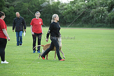 Clooney vom Clan der Wölfe