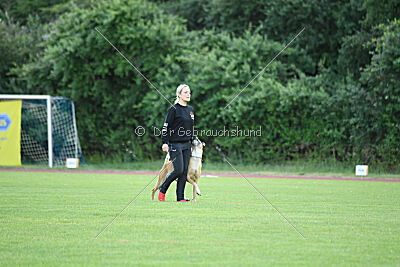 Clooney vom Clan der Wölfe