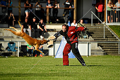 Clooney vom Clan der Wölfe