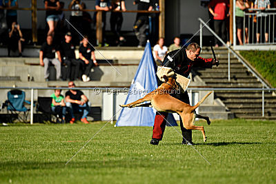 Clooney vom Clan der Wölfe