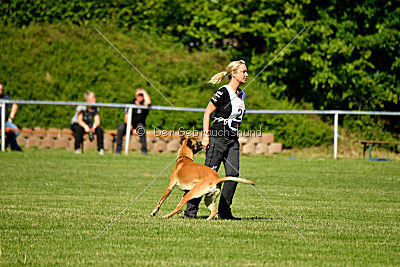 Clooney vom Clan der Wölfe