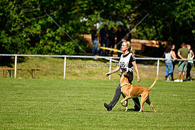 Clooney vom Clan der Wölfe