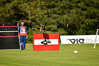 Coddy z Údolí Jizery