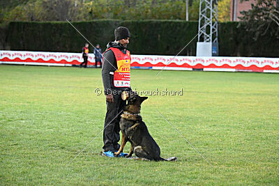 Colombo Moravská kometa