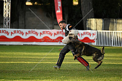 Colombo Moravská kometa