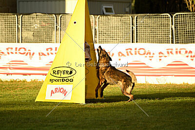Colombo Moravská kometa