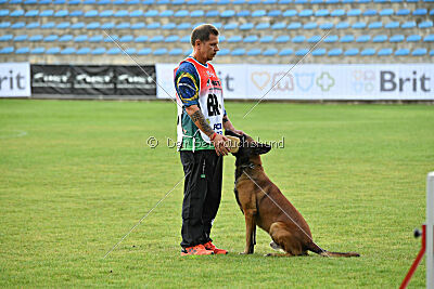 Colt vom Further Moor