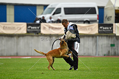 Conan vom Clan der Wölfe