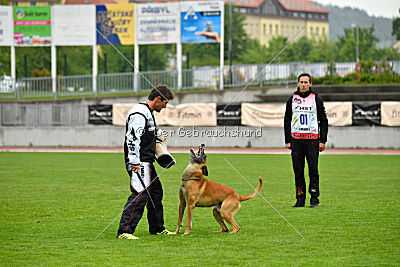 Conan vom Clan der Wölfe