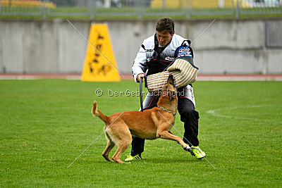 Conan vom Clan der Wölfe