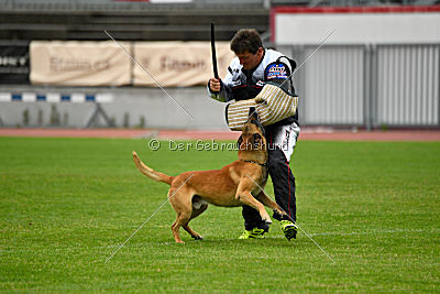 Conan vom Clan der Wölfe