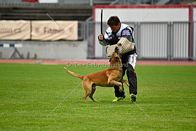 Conan vom Clan der Wölfe