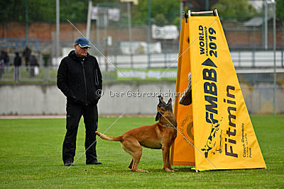 Conan vom Clan der Wölfe