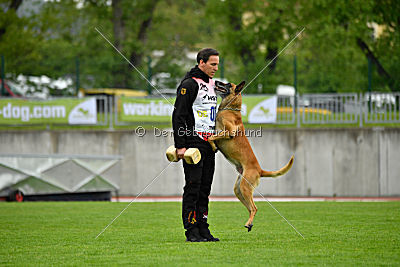 Conan vom Clan der Wölfe