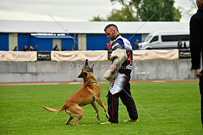 Conan vom Clan der Wölfe