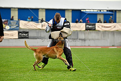 Conan vom Clan der Wölfe