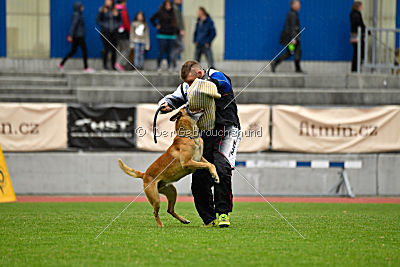 Conan vom Clan der Wölfe