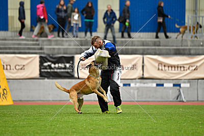 Conan vom Clan der Wölfe