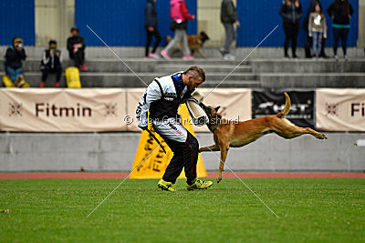 Conan vom Clan der Wölfe