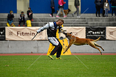 Conan vom Clan der Wölfe