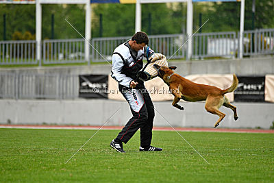 Conan vom Clan der Wölfe