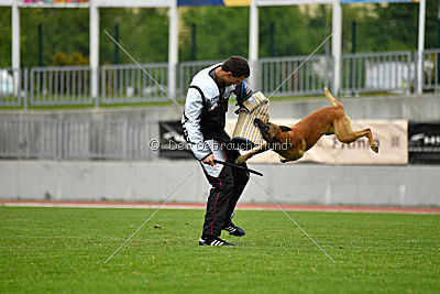 Conan vom Clan der Wölfe