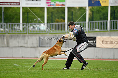 Conan vom Clan der Wölfe