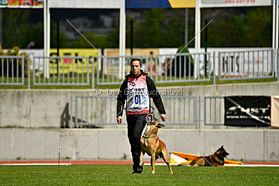 Conan vom Clan der Wölfe