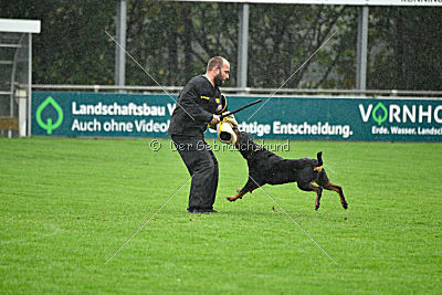 Congo von der Drachenhöhle