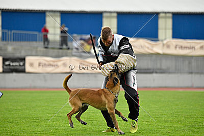 Constantin Anoubis Reunion