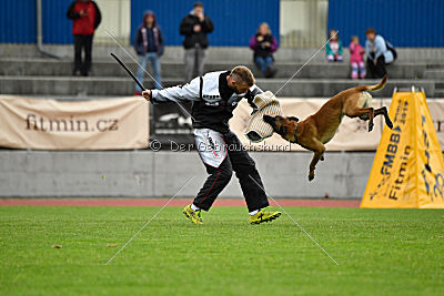 Constantin Anoubis Reunion