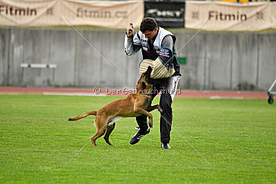 Constantin Anoubis Reunion