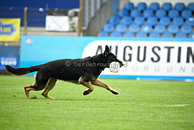 Cor von Starker Wille