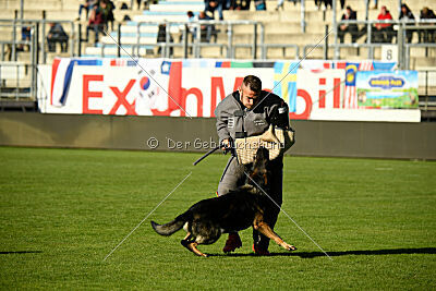 Covid vom Friedewälder Schloß