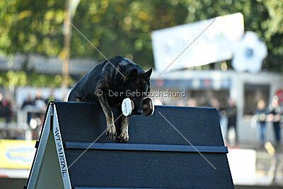 Covid vom Friedewälder Schloß