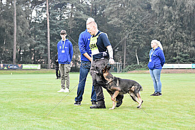 Coxx von der germanischen Wolfsschanze