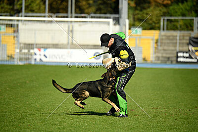 Coxx von der germanischen Wolfsschanze