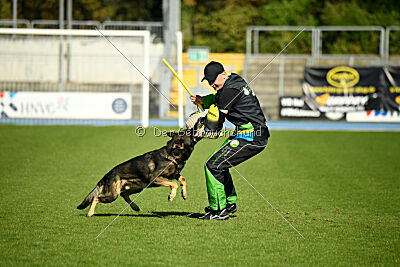 Coxx von der germanischen Wolfsschanze