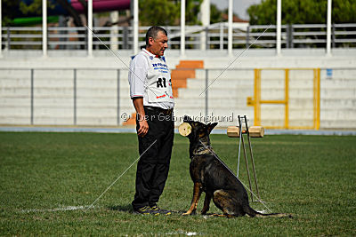 Crack vom Langen Elend