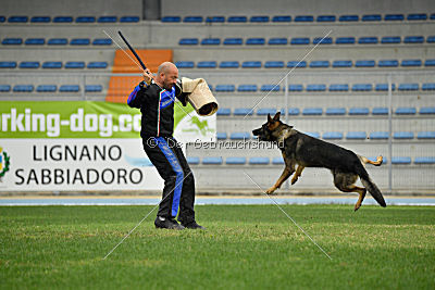 Crakk da Quinta do Salomao