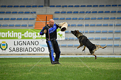 Crakk da Quinta do Salomao