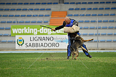 Crakk da Quinta do Salomao