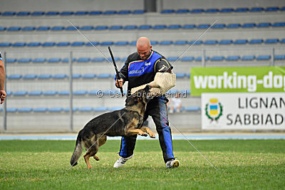 Crakk da Quinta do Salomao