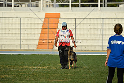 Crakk da Quinta do Salomao