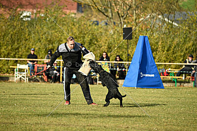 Crash la casa DeCillia