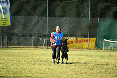 Crash la casa DeCillia