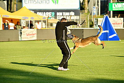 Crazy Canis Invictus